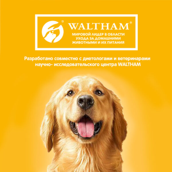 Pedigree Dog Food Adult Wet Pouch - Image 6